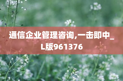 通信企业管理咨询,一击即中_L版961376