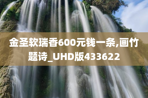金圣软瑞香600元钱一条,画竹题诗_UHD版433622