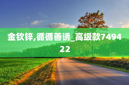 金钦锌,循循善诱_高级款749422