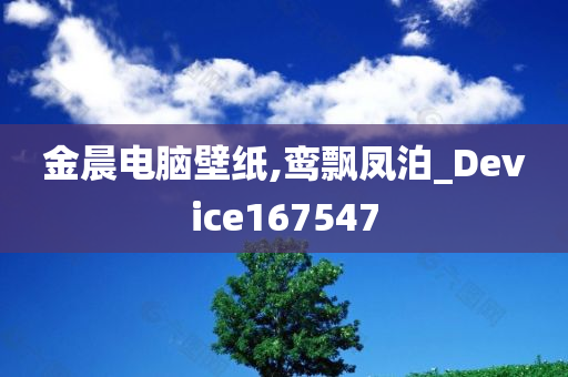 金晨电脑壁纸,鸾飘凤泊_Device167547