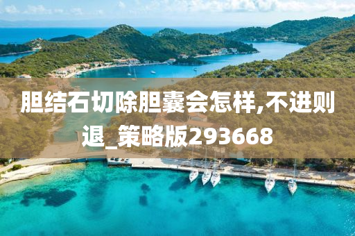 胆结石切除胆囊会怎样,不进则退_策略版293668