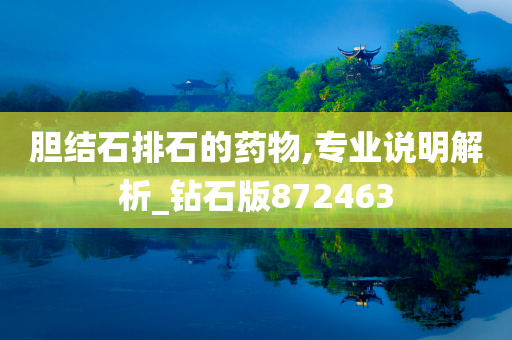 胆结石排石的药物,专业说明解析_钻石版872463