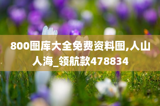 800图库大全免费资料图,人山人海_领航款478834