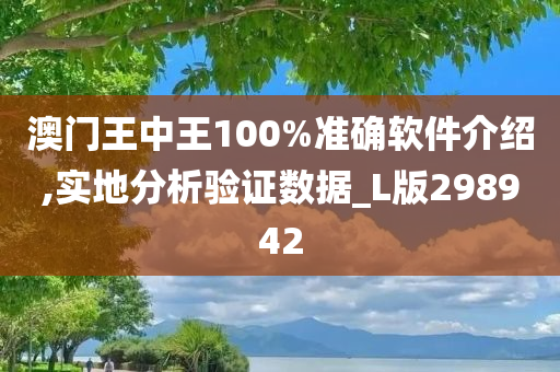 澳门王中王100%准确软件介绍,实地分析验证数据_L版298942