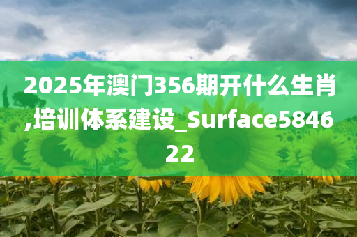 2025年澳门356期开什么生肖,培训体系建设_Surface584622