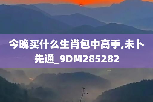 今晚买什么生肖包中高手,未卜先通_9DM285282