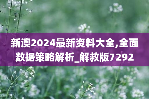 新澳2024最新资料大全,全面数据策略解析_解救版7292