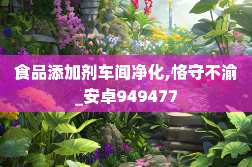 食品添加剂车间净化,恪守不渝_安卓949477