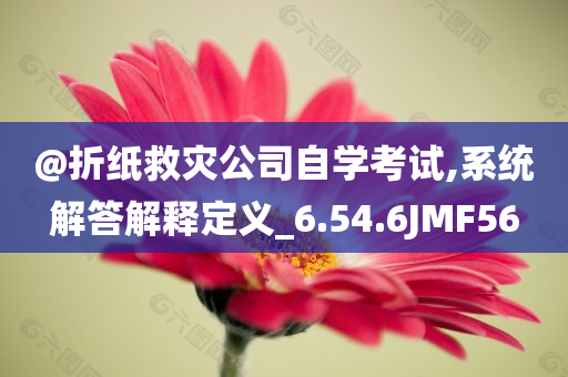 @折纸救灾公司自学考试,系统解答解释定义_6.54.6JMF56