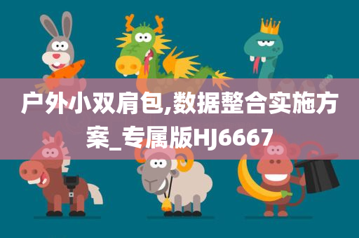 户外小双肩包,数据整合实施方案_专属版HJ6667