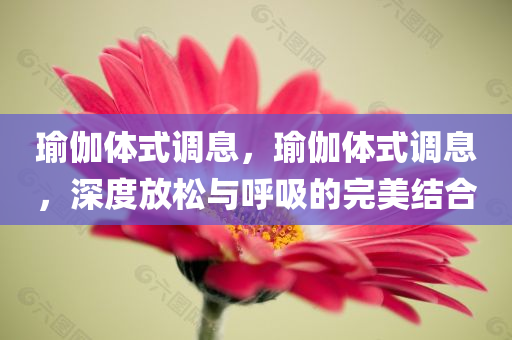瑜伽体式调息，瑜伽体式调息，深度放松与呼吸的完美结合今晚必出三肖2025_2025新澳门精准免费提供·精确判断