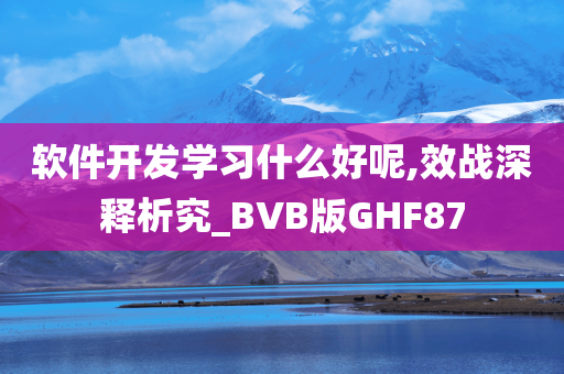 软件开发学习什么好呢,效战深释析究_BVB版GHF87