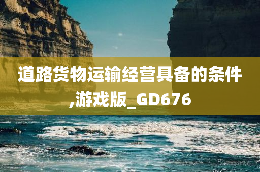 道路货物运输经营具备的条件,游戏版_GD676