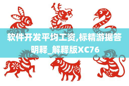 软件开发平均工资,标精游据答明释_解释版XC76
