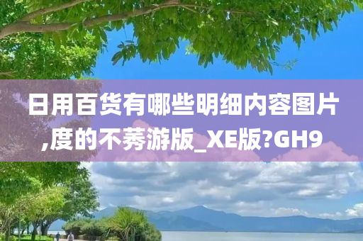 日用百货有哪些明细内容图片,度的不莠游版_XE版?GH9