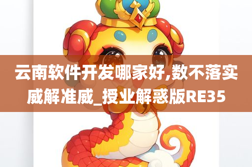 云南软件开发哪家好,数不落实威解准威_授业解惑版RE35