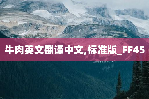牛肉英文翻译中文,标准版_FF45