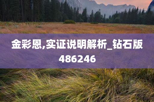 金彩恩,实证说明解析_钻石版486246