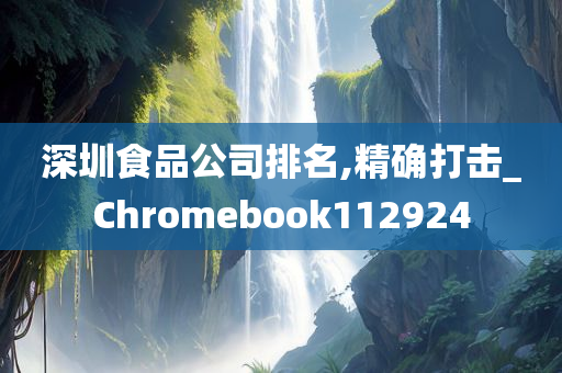 深圳食品公司排名,精确打击_Chromebook112924