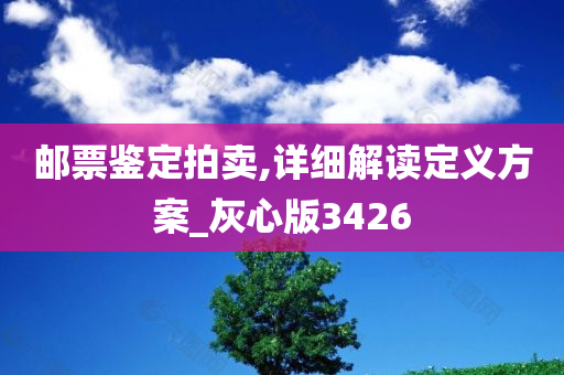 邮票鉴定拍卖,详细解读定义方案_灰心版3426