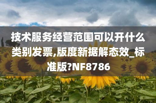 技术服务经营范围可以开什么类别发票,版度新据解态效_标准版?NF8786