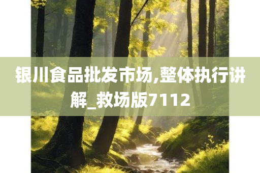 银川食品批发市场,整体执行讲解_救场版7112