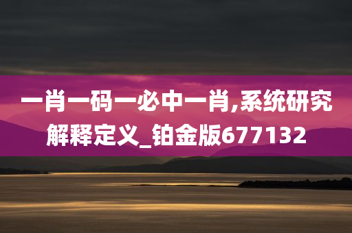 一肖一码一必中一肖,系统研究解释定义_铂金版677132