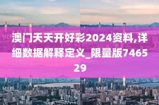 澳门天天开好彩2024资料,详细数据解释定义_限量版746529