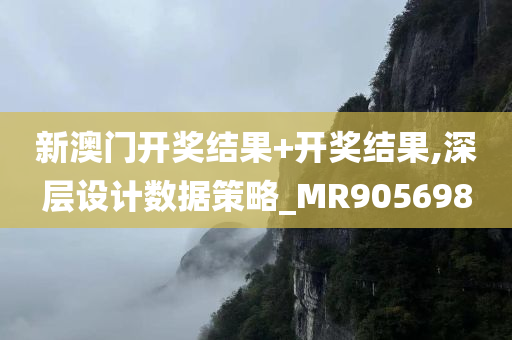 新澳门开奖结果+开奖结果,深层设计数据策略_MR905698