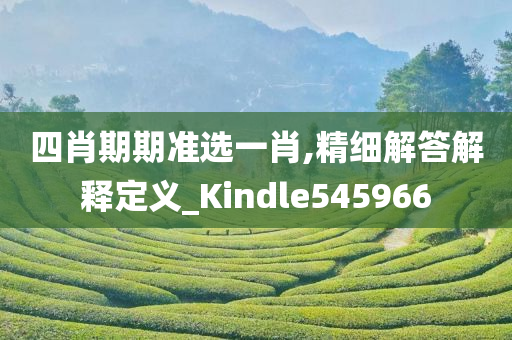 四肖期期准选一肖,精细解答解释定义_Kindle545966