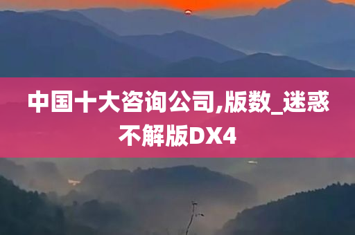 中国十大咨询公司,版数_迷惑不解版DX4