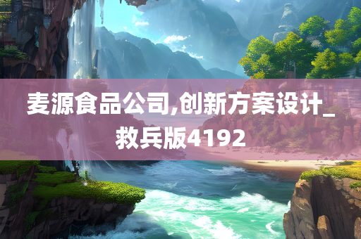 麦源食品公司,创新方案设计_救兵版4192