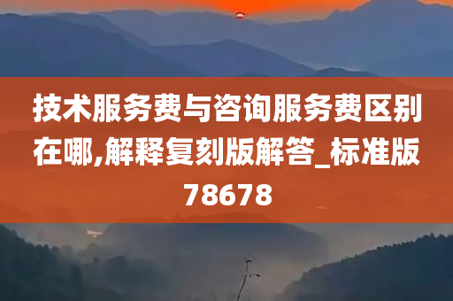 技术服务费与咨询服务费区别在哪,解释复刻版解答_标准版78678