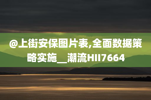 @上街安保图片表,全面数据策略实施__潮流HII7664