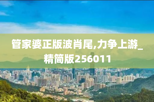 管家婆正版波肖尾,力争上游_精简版256011