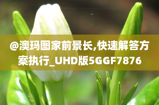 @澳玛图家前景长,快速解答方案执行_UHD版5GGF7876