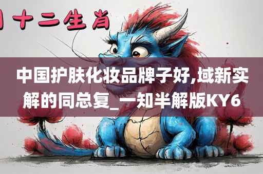 中国护肤化妆品牌子好,域新实解的同总复_一知半解版KY6