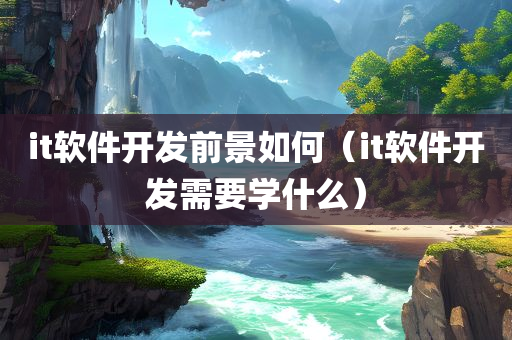 it软件开发前景如何（it软件开发需要学什么）