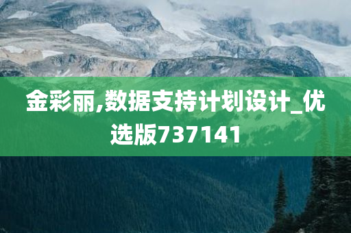 金彩丽,数据支持计划设计_优选版737141