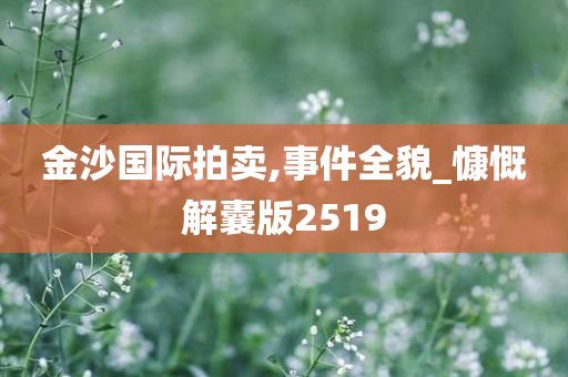 金沙国际拍卖,事件全貌_慷慨解囊版2519