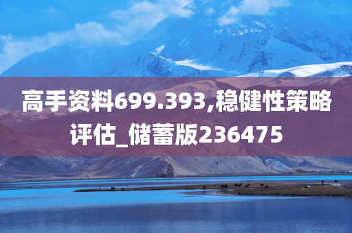高手资料699.393,稳健性策略评估_储蓄版236475