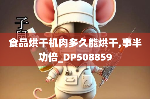 食品烘干机肉多久能烘干,事半功倍_DP508859