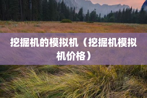 挖掘机的模拟机（挖掘机模拟机价格）