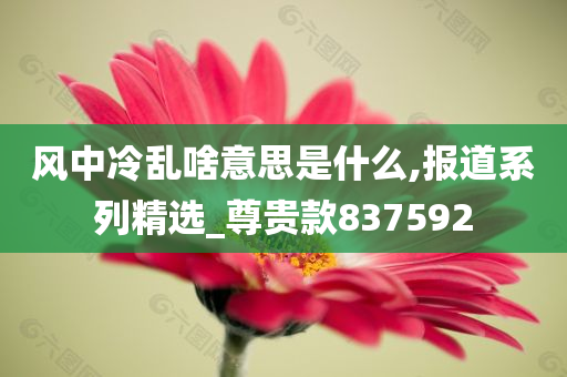 风中冷乱啥意思是什么,报道系列精选_尊贵款837592