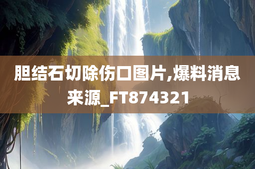 胆结石切除伤口图片,爆料消息来源_FT874321