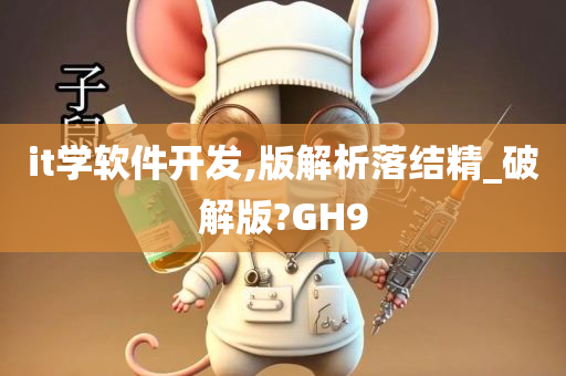 it学软件开发,版解析落结精_破解版?GH9