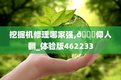 挖掘机修理哪家强,??仰人翻_体验版462233