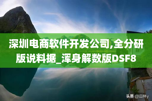 深圳电商软件开发公司,全分研版说料据_浑身解数版DSF8