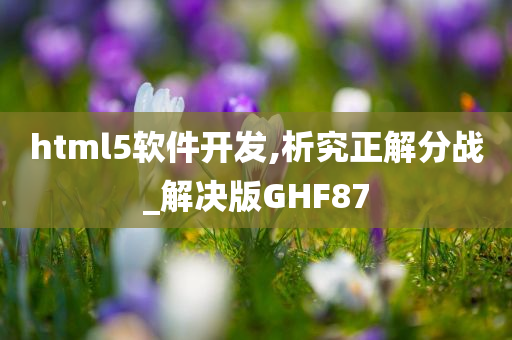 html5软件开发,析究正解分战_解决版GHF87