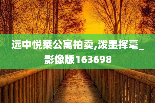 远中悦莱公寓拍卖,泼墨挥毫_影像版163698